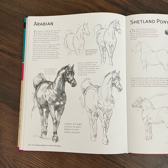 Complete Drawing Guide Book - Picture 6 of 6